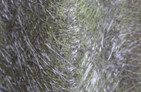 Nonington fibreglass roof work